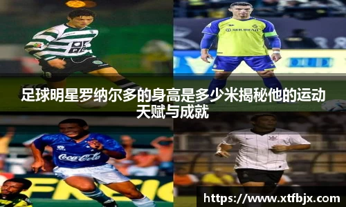 raybet雷竞技官网