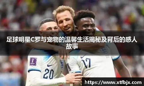 足球明星C罗与宠物的温馨生活揭秘及背后的感人故事