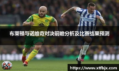 布莱顿与诺维奇对决前瞻分析及比赛结果预测