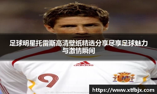 足球明星托雷斯高清壁纸精选分享尽享足球魅力与激情瞬间